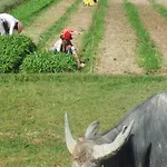 Farm Stay