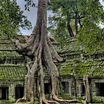 Golden Temple Residence