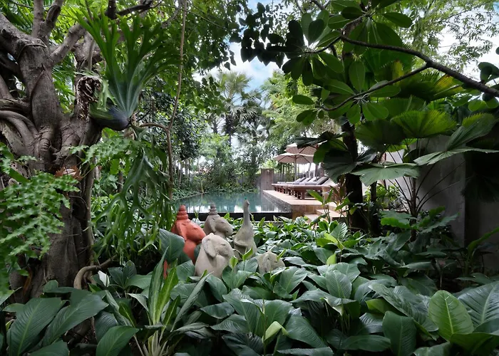 The Nature