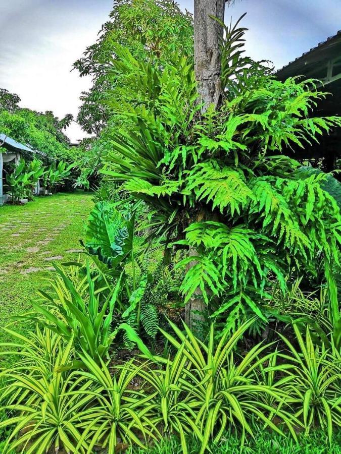 Botanic Artistry Boutique & Garden Hotel Siem Reap