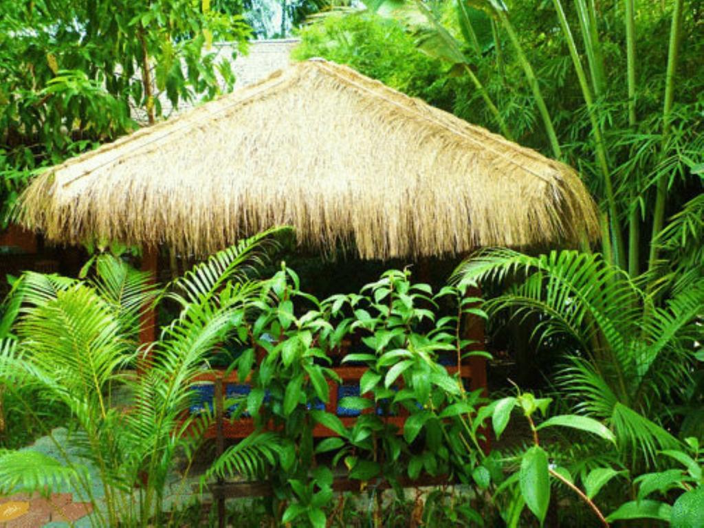 Hotel Forest King Siem Reap