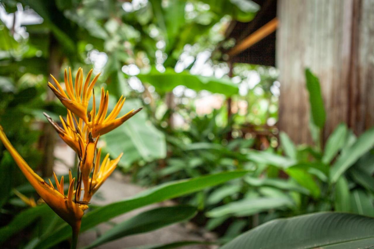 Resort Authentic Khmer Village 5*