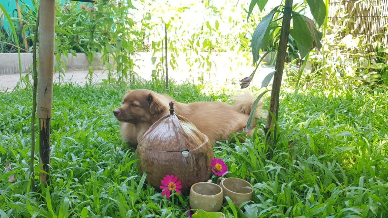 Bloom Garden *