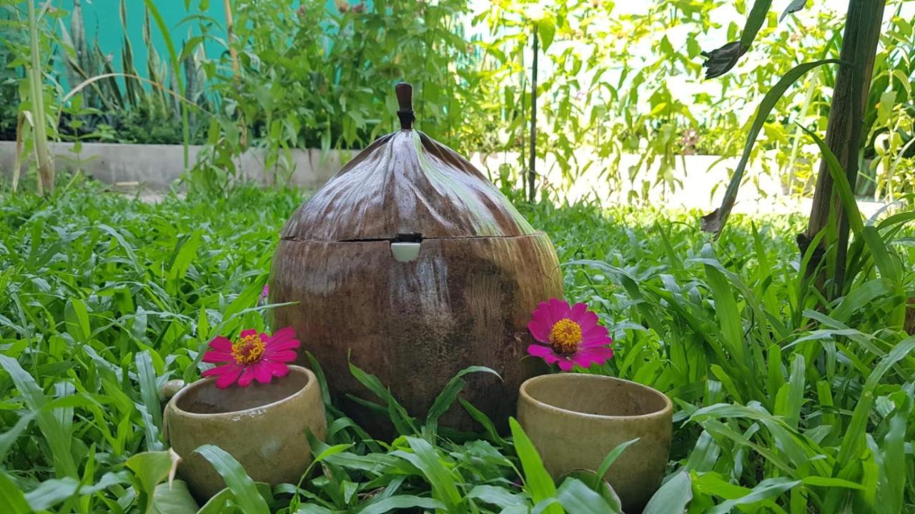Homestay Bloom Garden