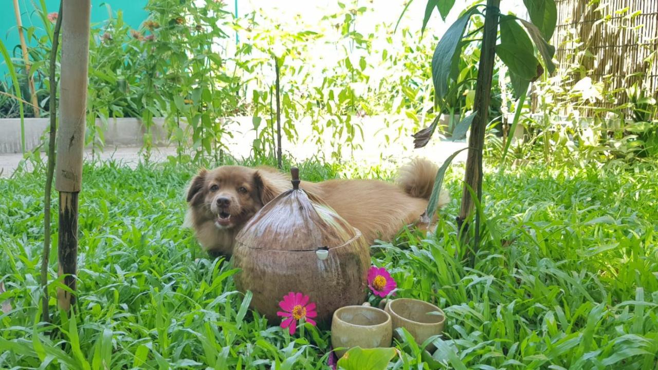 Bloom Garden