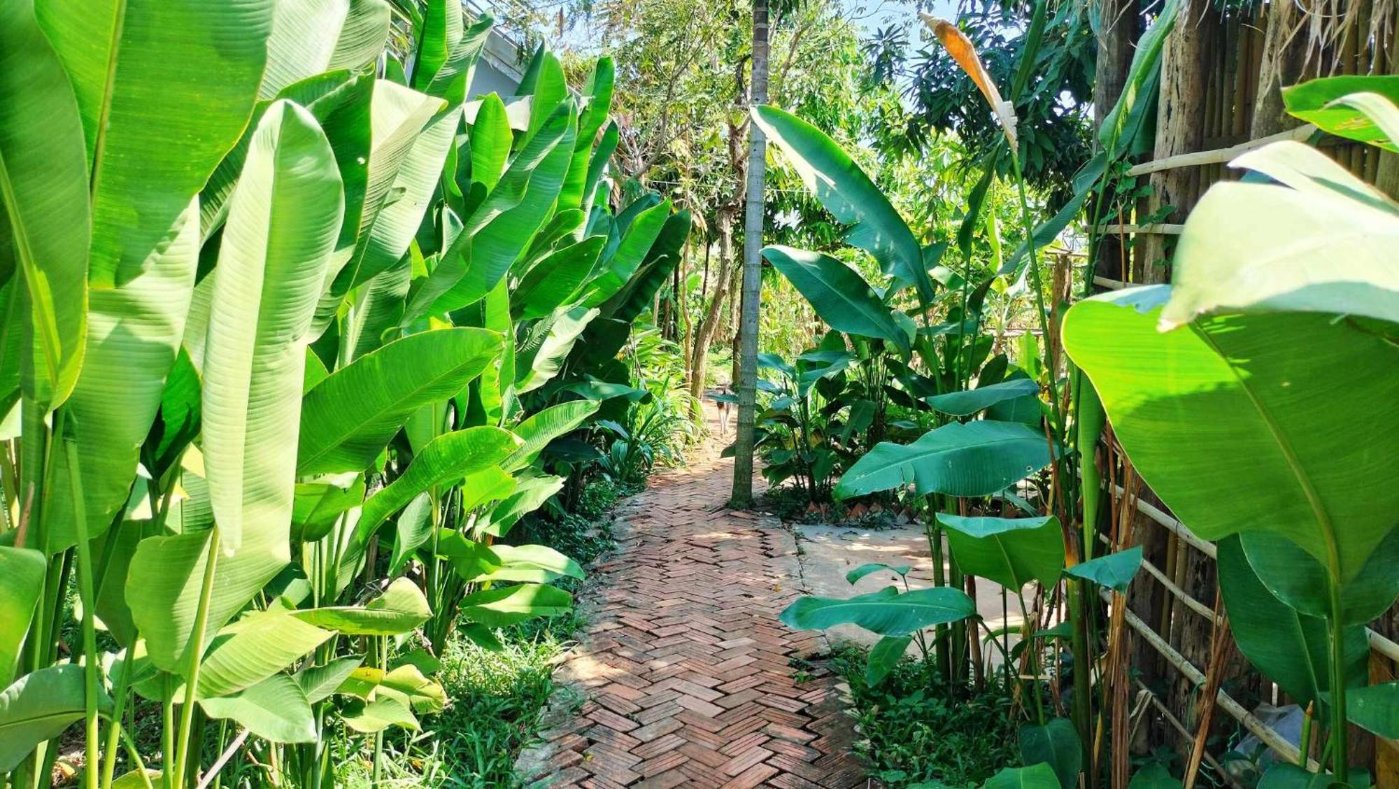Urban Farm stay Siem Reap