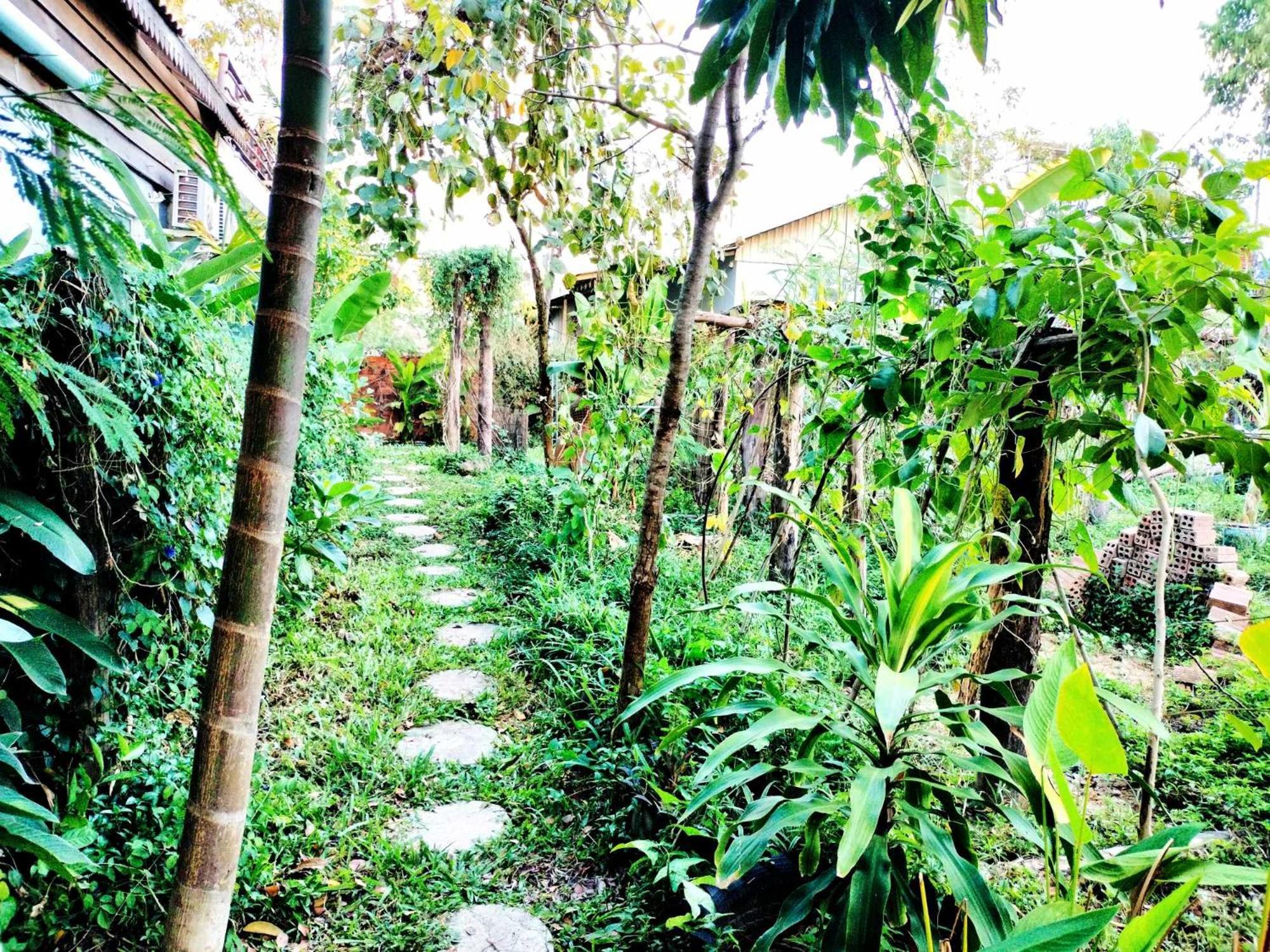 Urban Farm stay Siem Reap