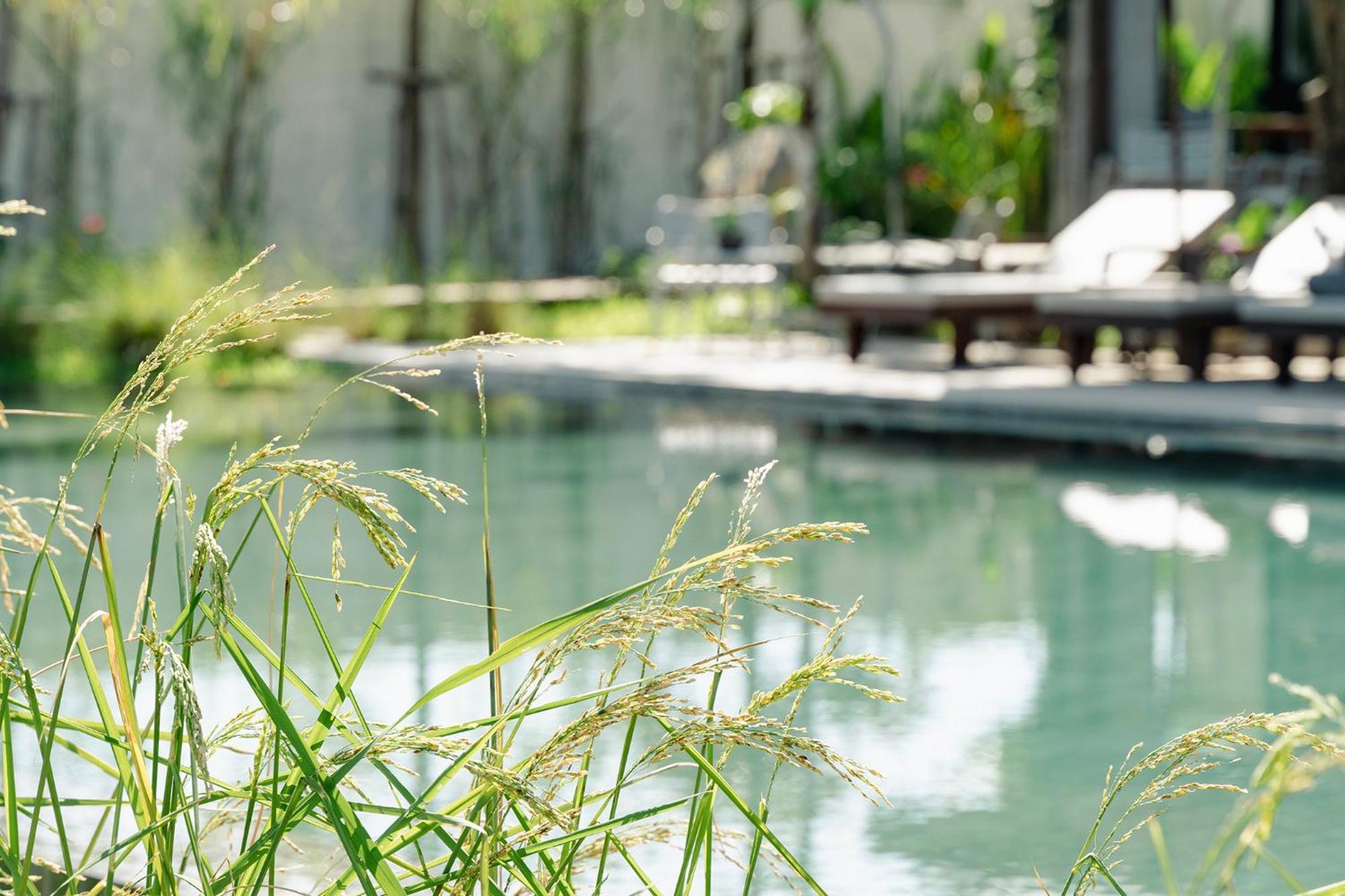 Le Chanthou Boutique Hotel Siem Reap