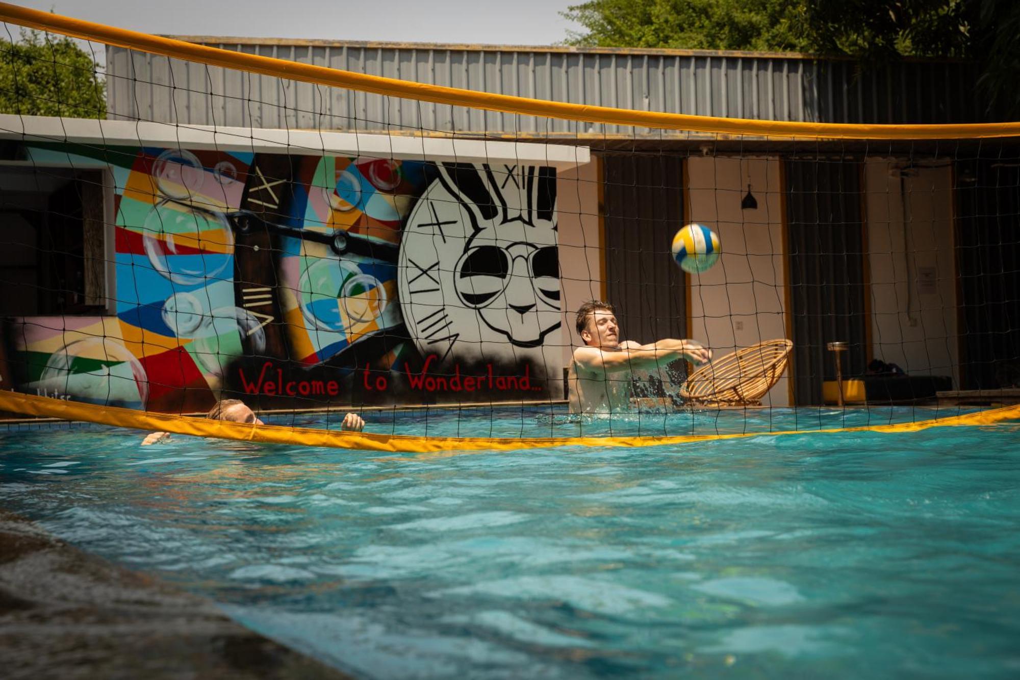 Hostel White Rabbit *