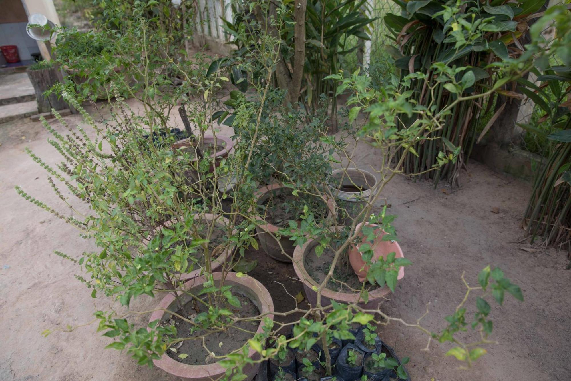Ở trọ Chansor Community 12 Siem Reap