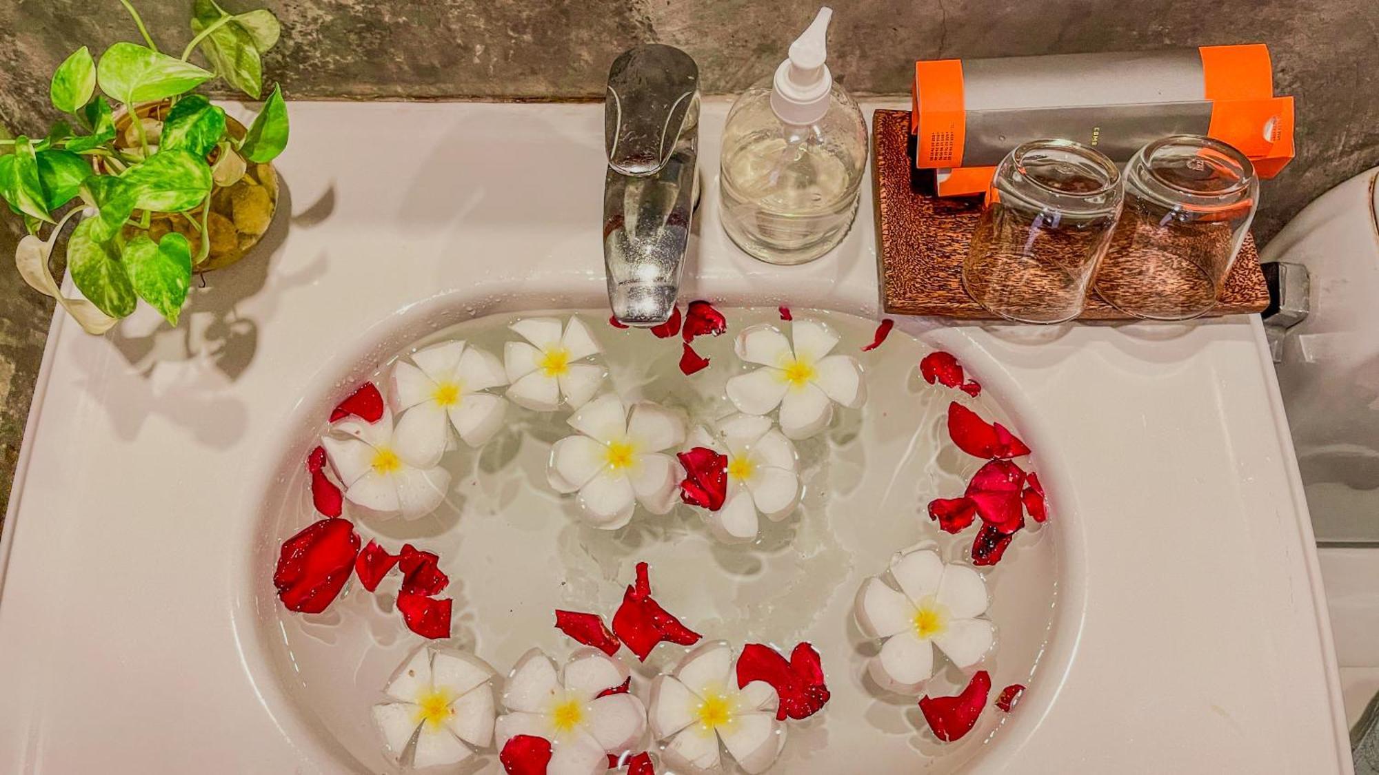 Indochine D'angkor Hotel 4*