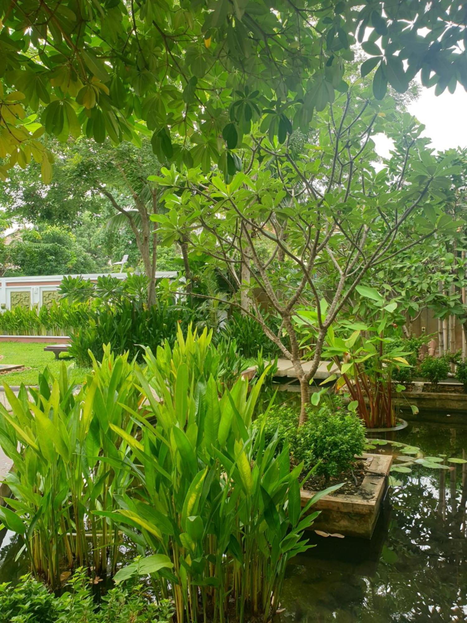 Hotel Bamboo Retreat Siem Reap