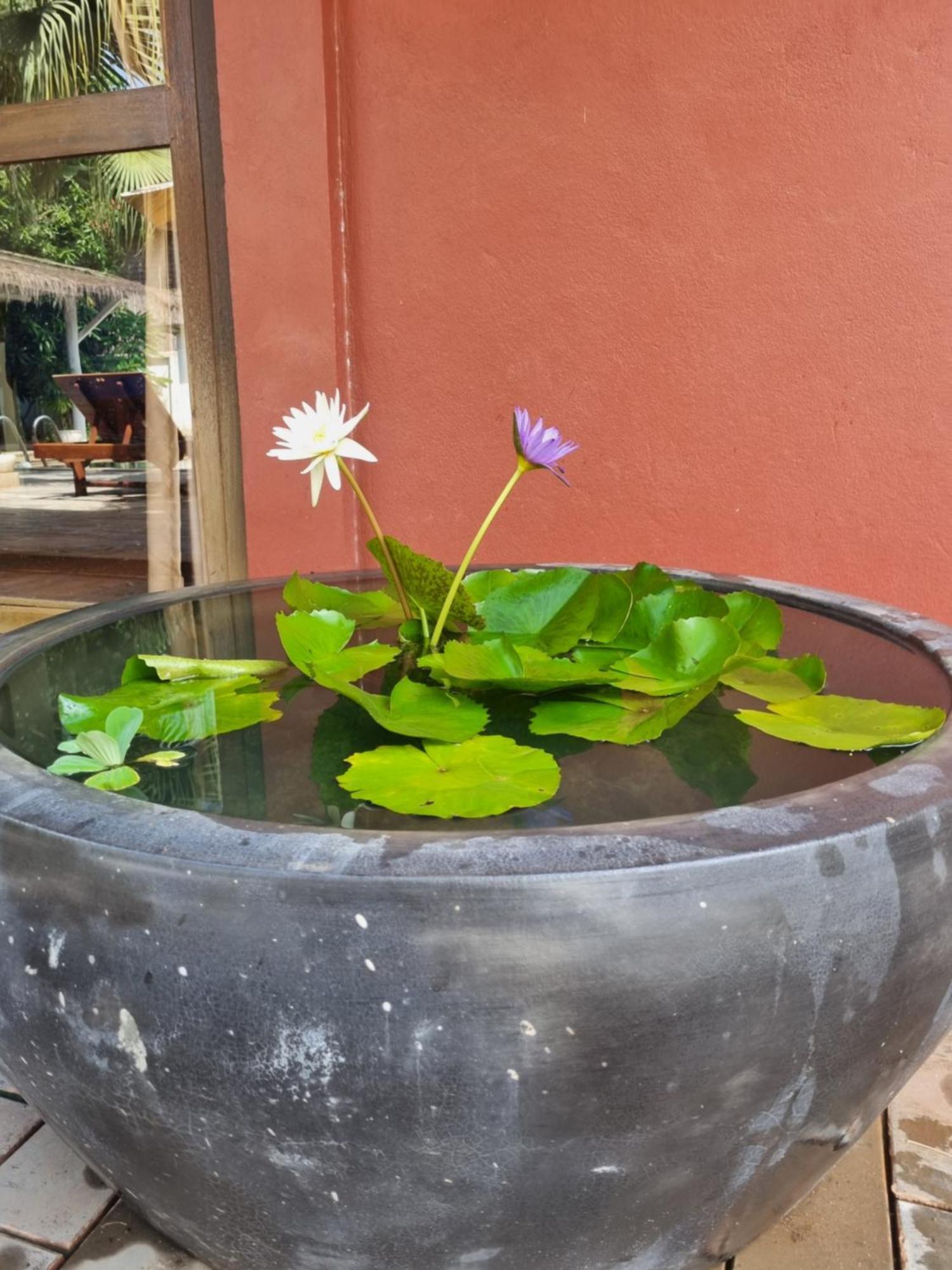 Sa Ke * Siem Reap