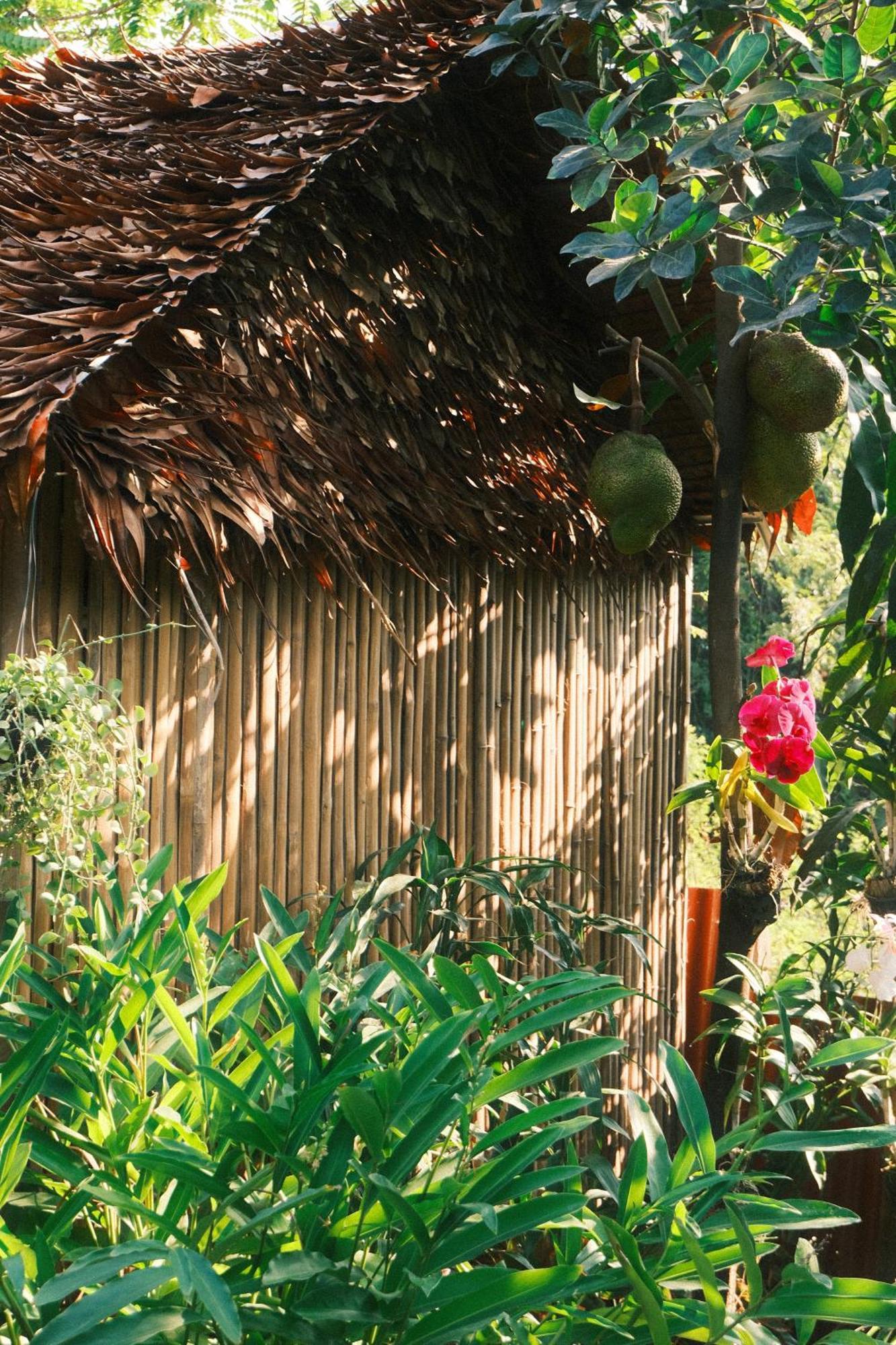 Homesteading Albergue *