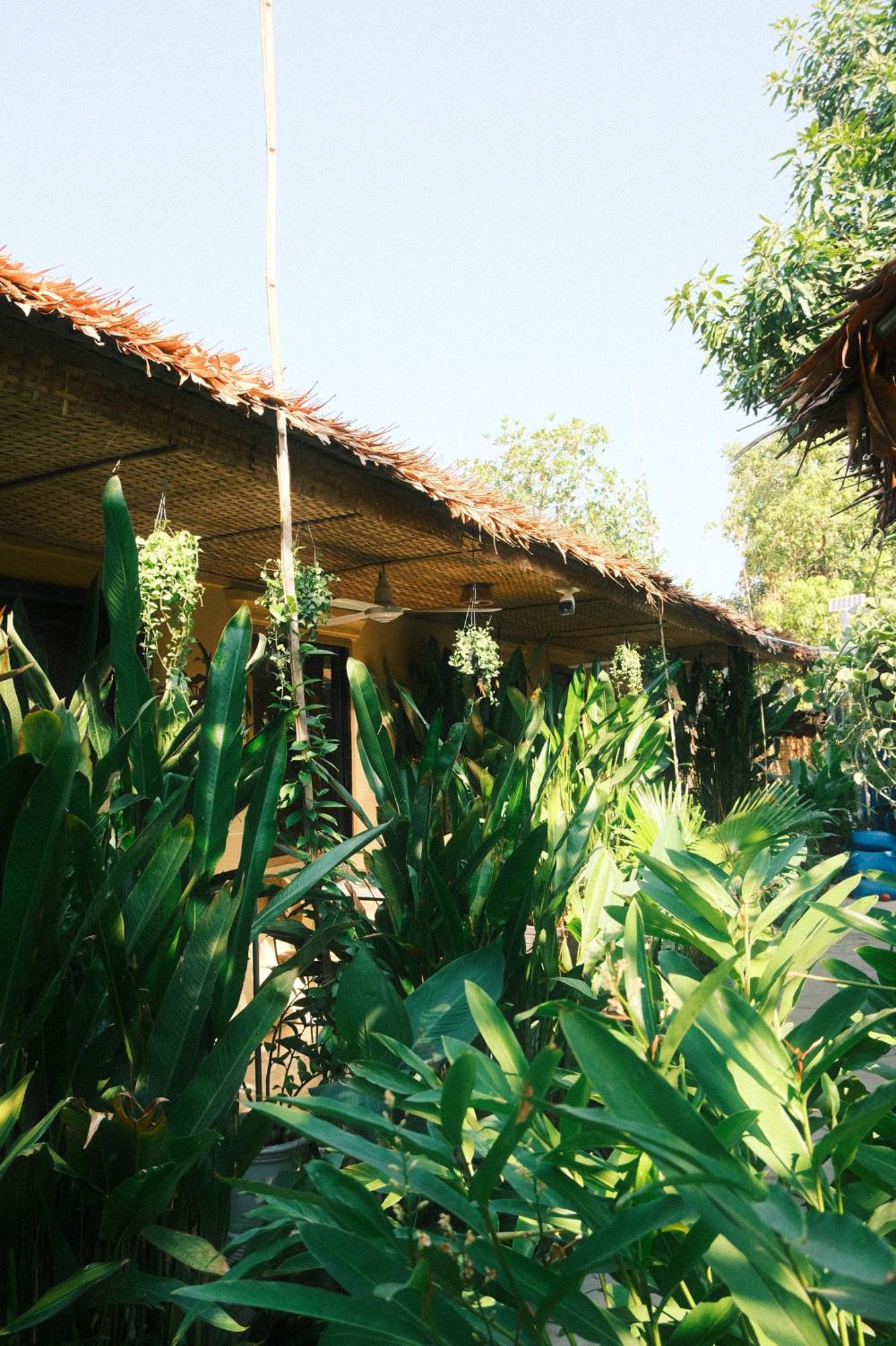 Albergue Homesteading Siem Reap