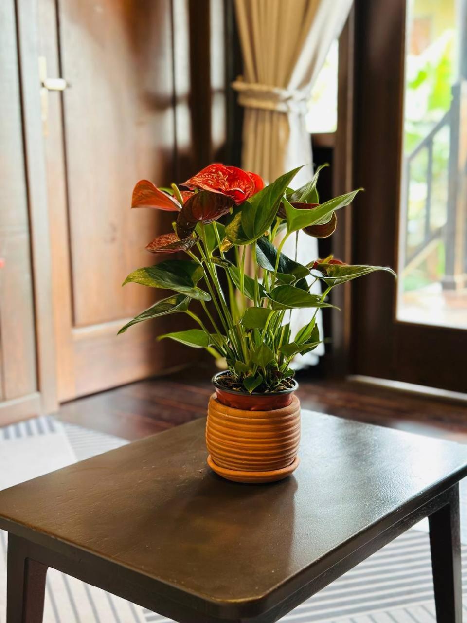 Homestay Roya Khmer House *