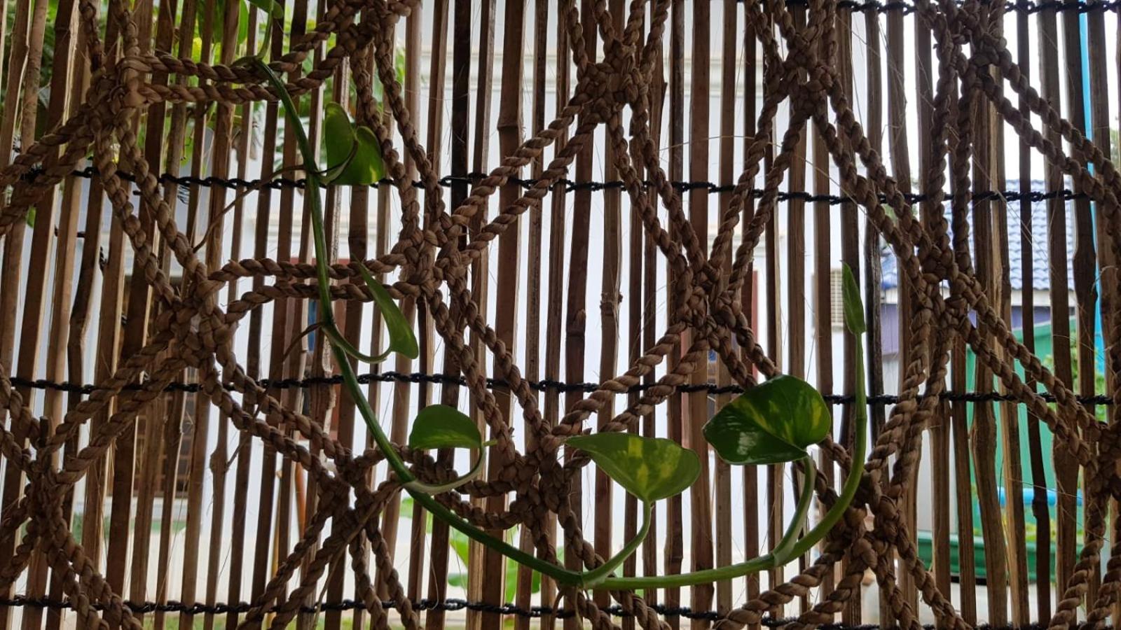 Homestay Bloom Garden Siem Reap