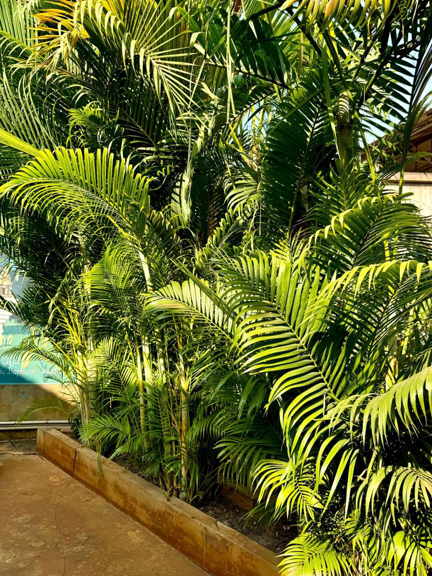 Holiday home Mes Trois Coeurs