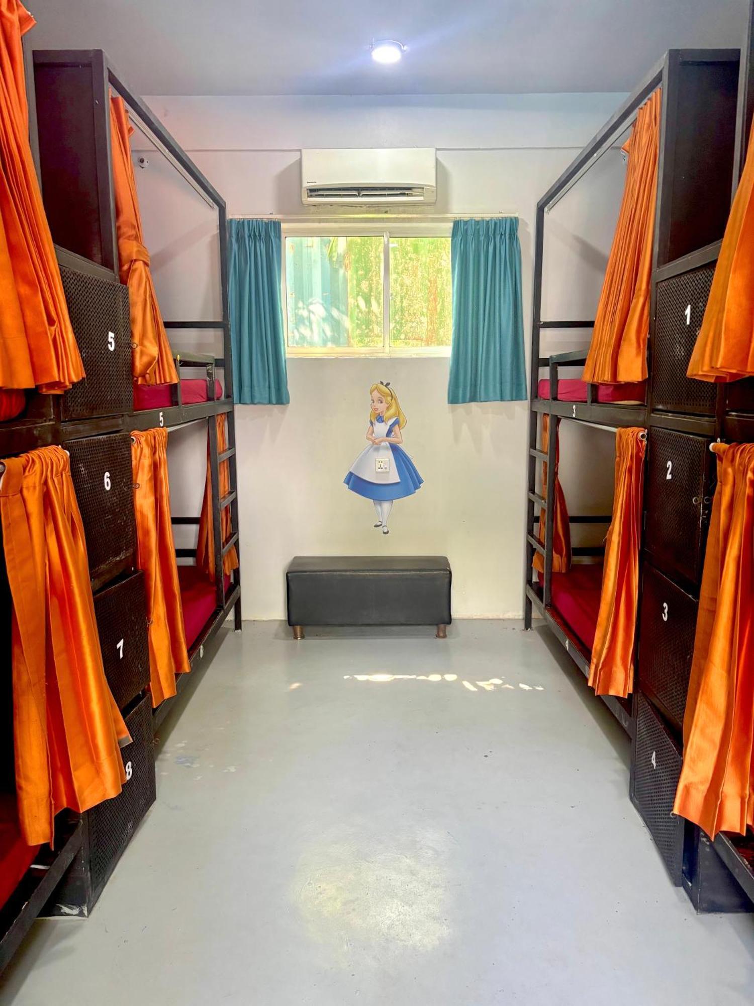 Hostel White Rabbit *