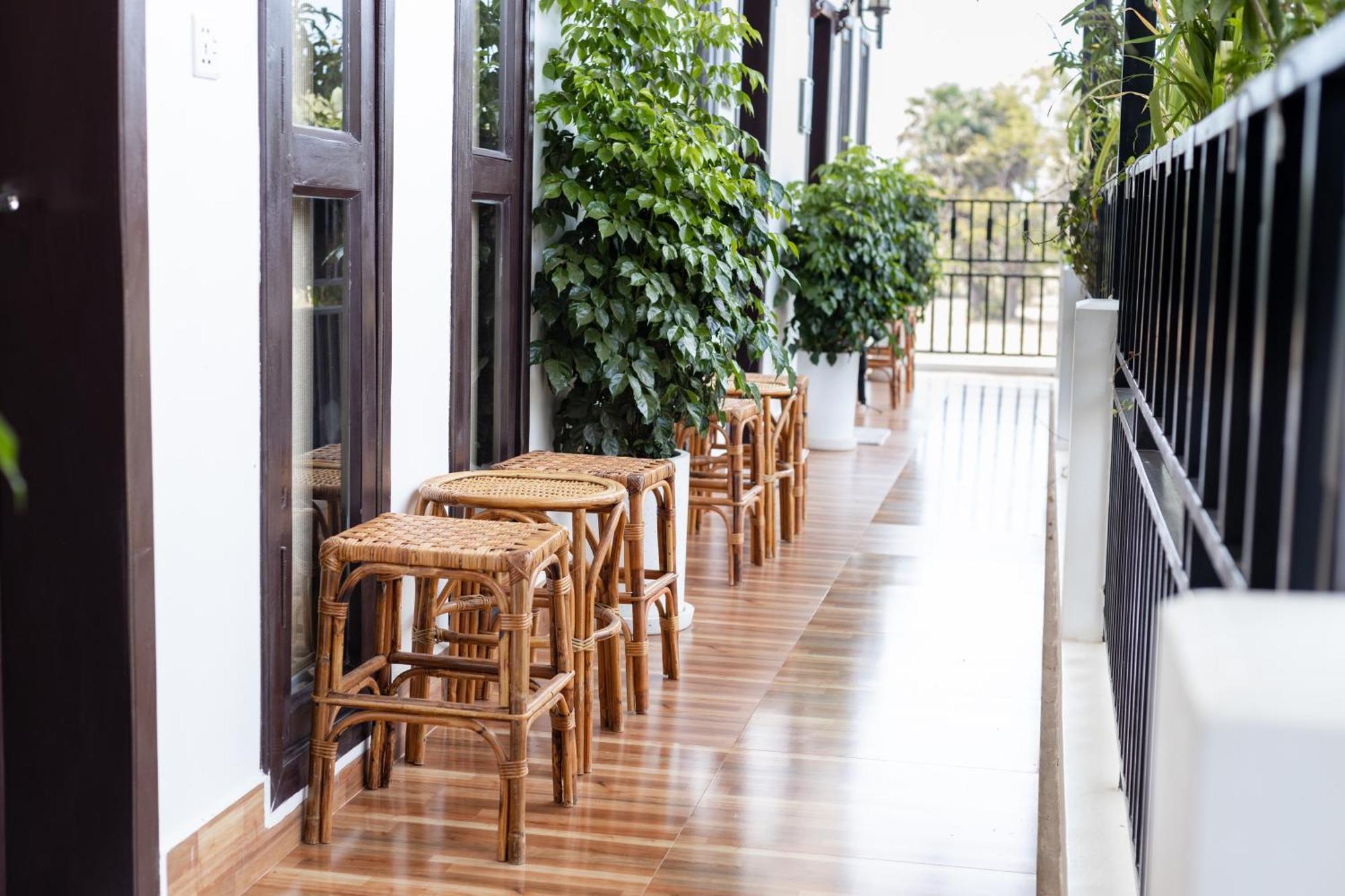 Hotel Moringa Tree Maison