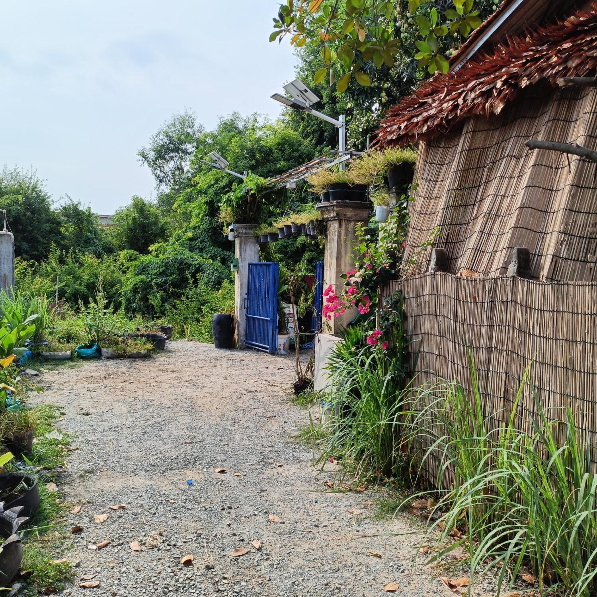 Albergue Homesteading Siem Reap