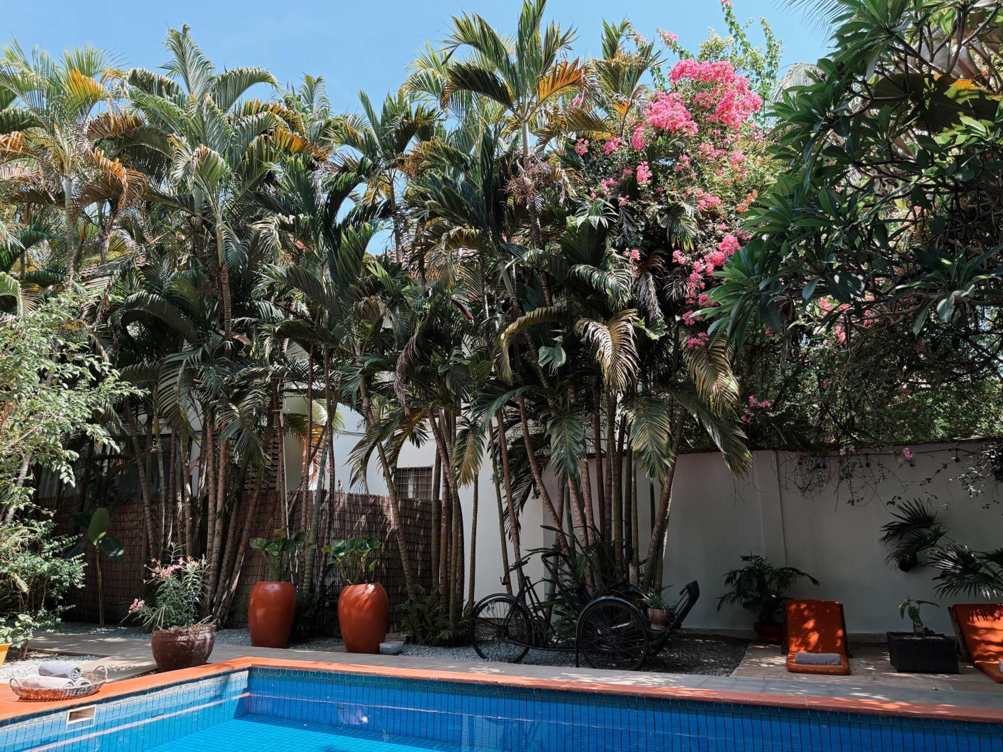 Hotel Maison 557 Siem Reap