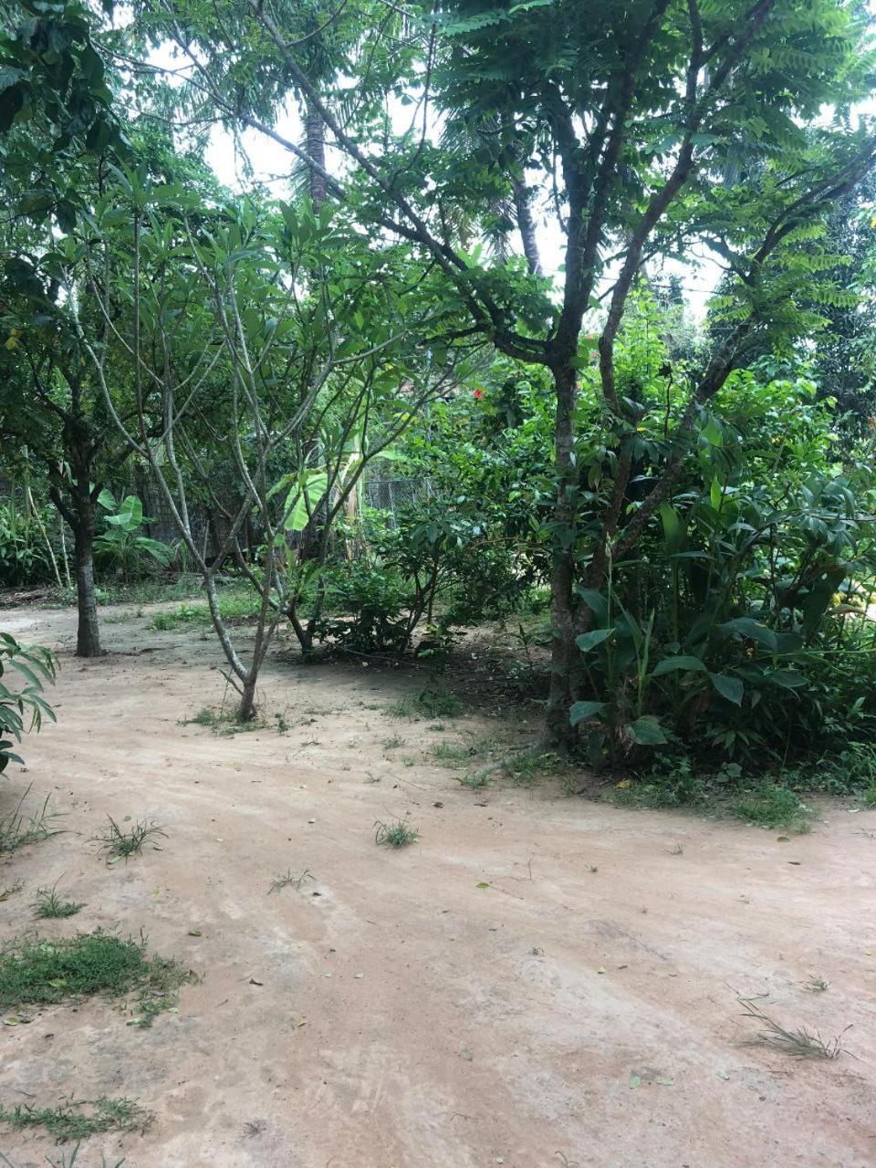 Homestay Sok Phen