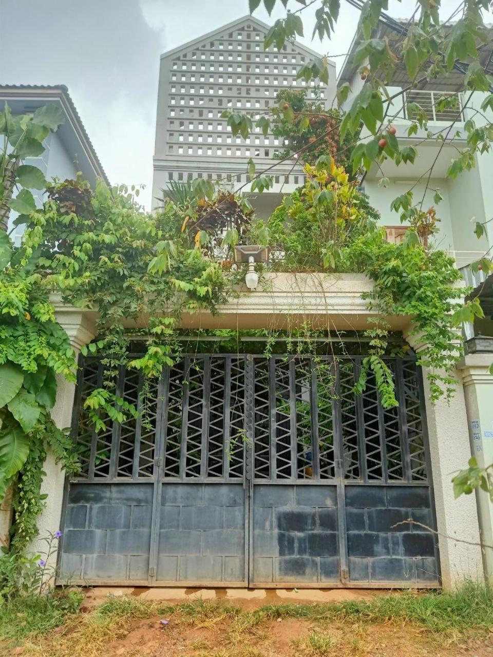 Homestay Skyview Retreat