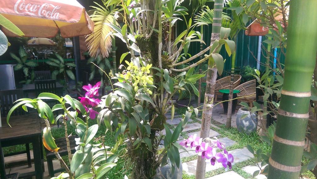 Siem Reap Green Home Guesthouse Guest house