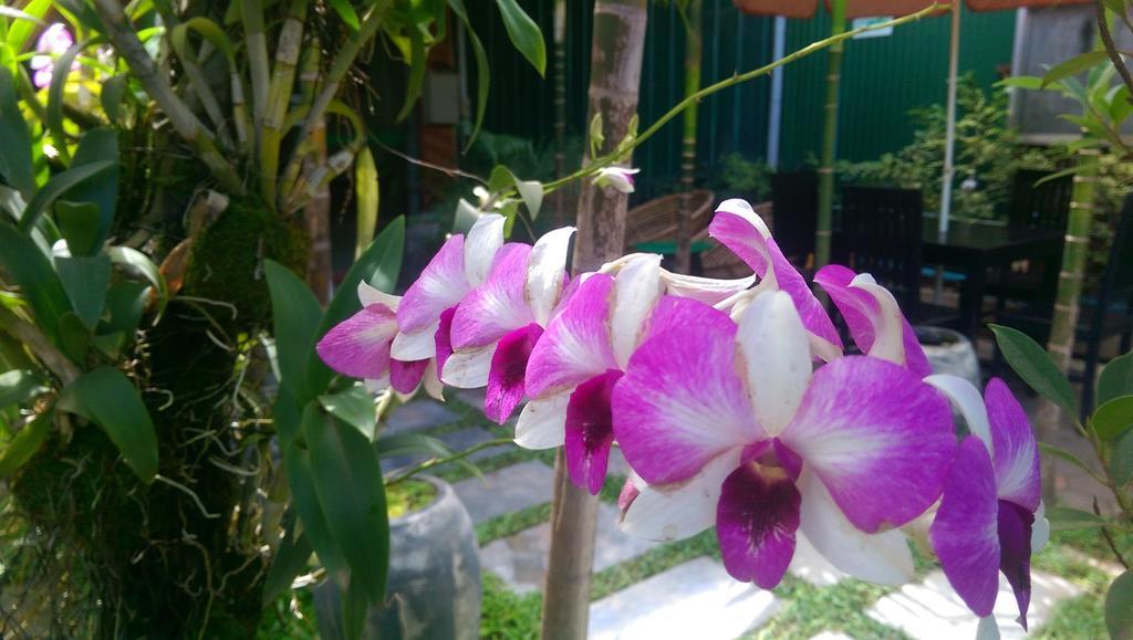 Siem Reap Green Home Guesthouse