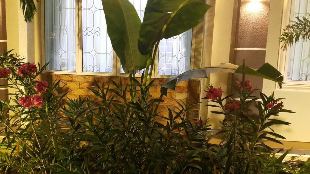 Relax Boutique 3* Siem Reap