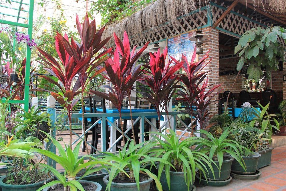 Hotel Relax And Angkor