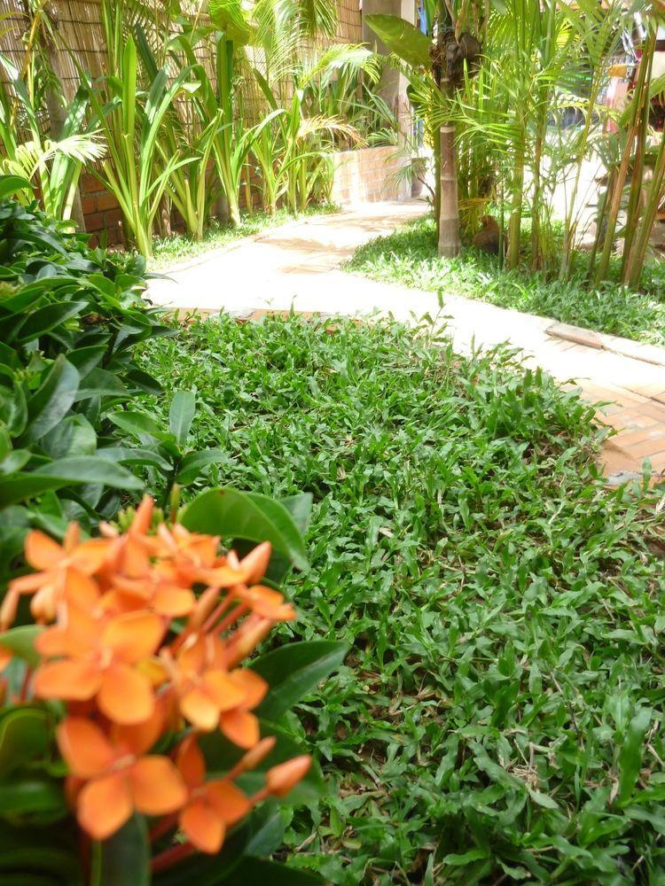 Gasthof Angkor Reas