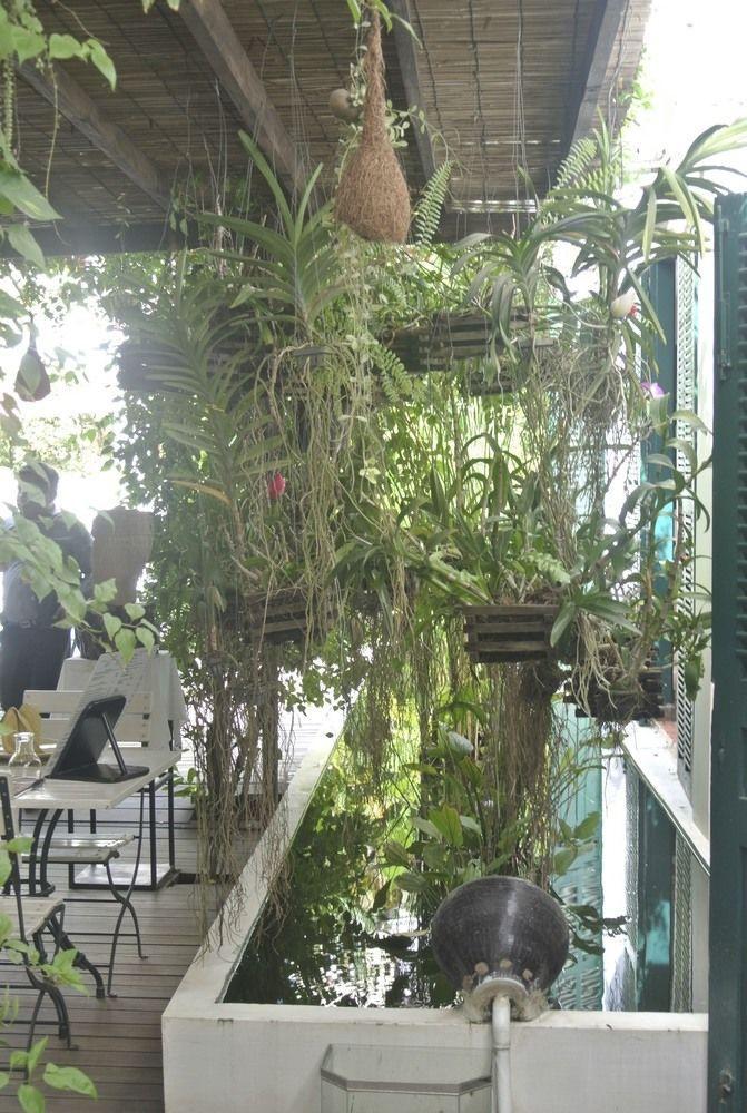 Alliance Alize Boutique * Siem Reap