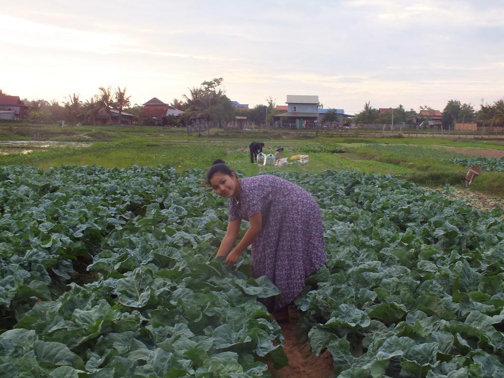 Farm Farm stay Siem Reap