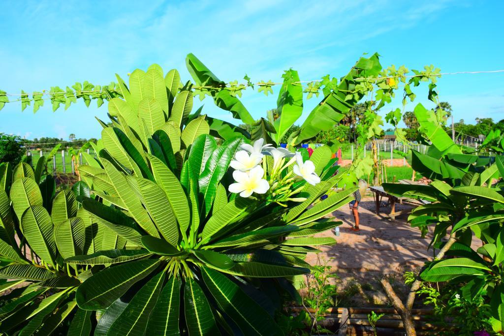 Holiday park Angkor Countryside Boutique 4*