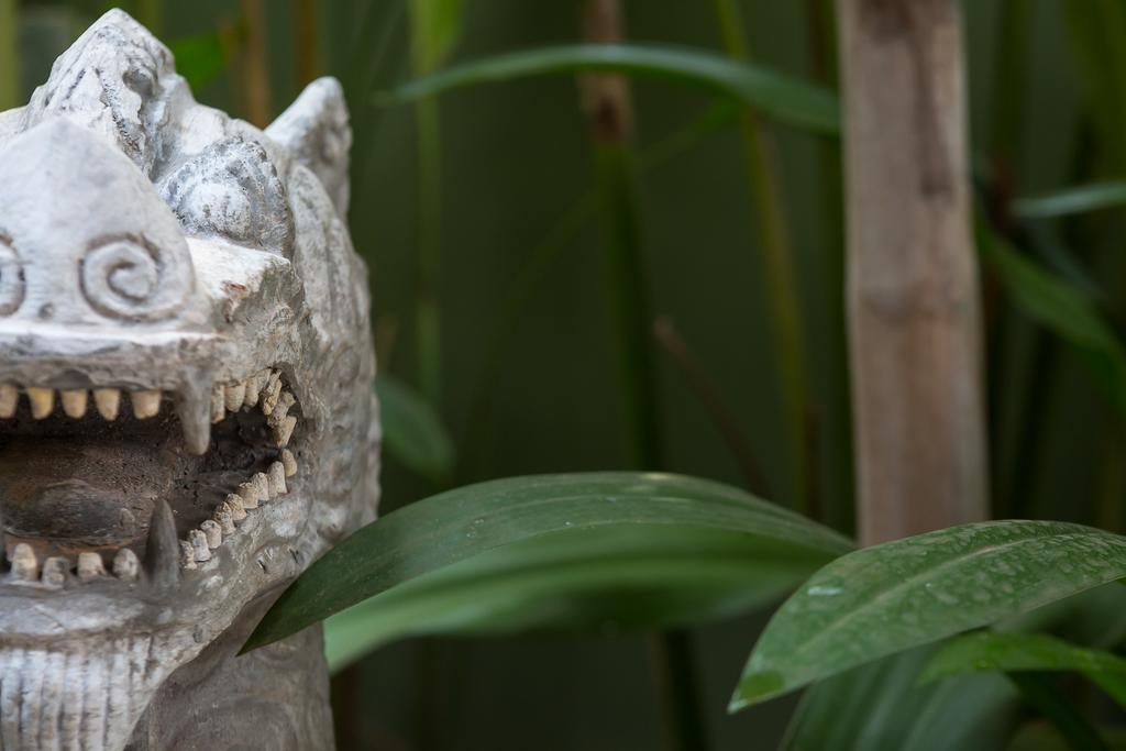 Villas Kamboja Villa Siem Reap