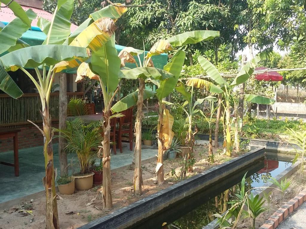 Homestay Dani *