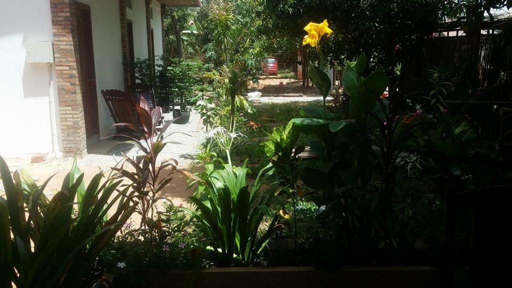 Homestay Friendly House