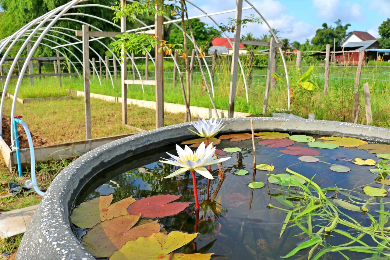 Urban Farm stay Siem Reap