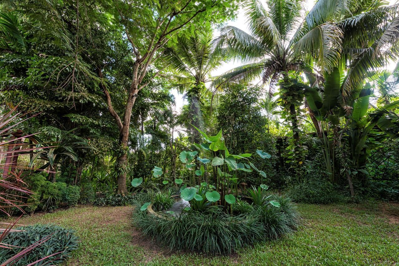 Villa Amatao Tropical *