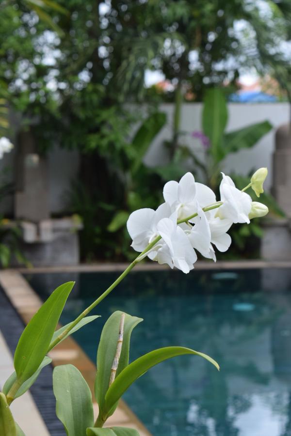 The Botanic & Restaurant Hotel