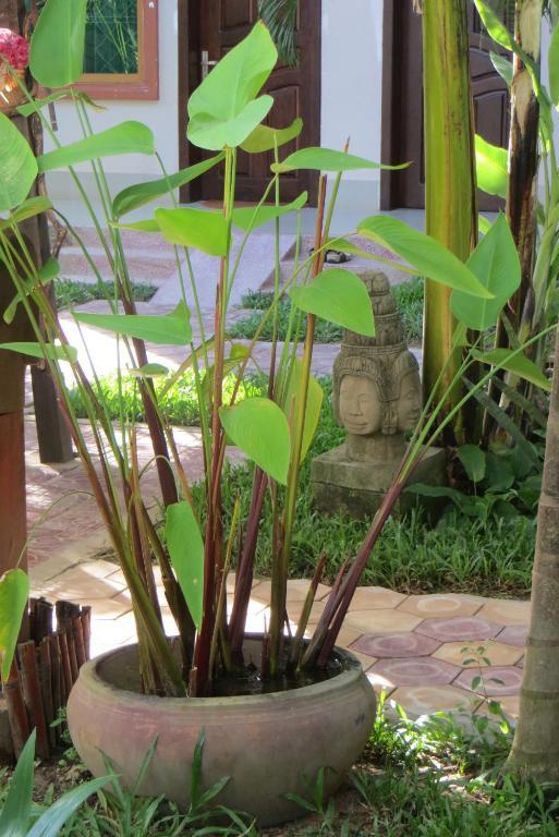 Hotel Angkor Tropical 3*