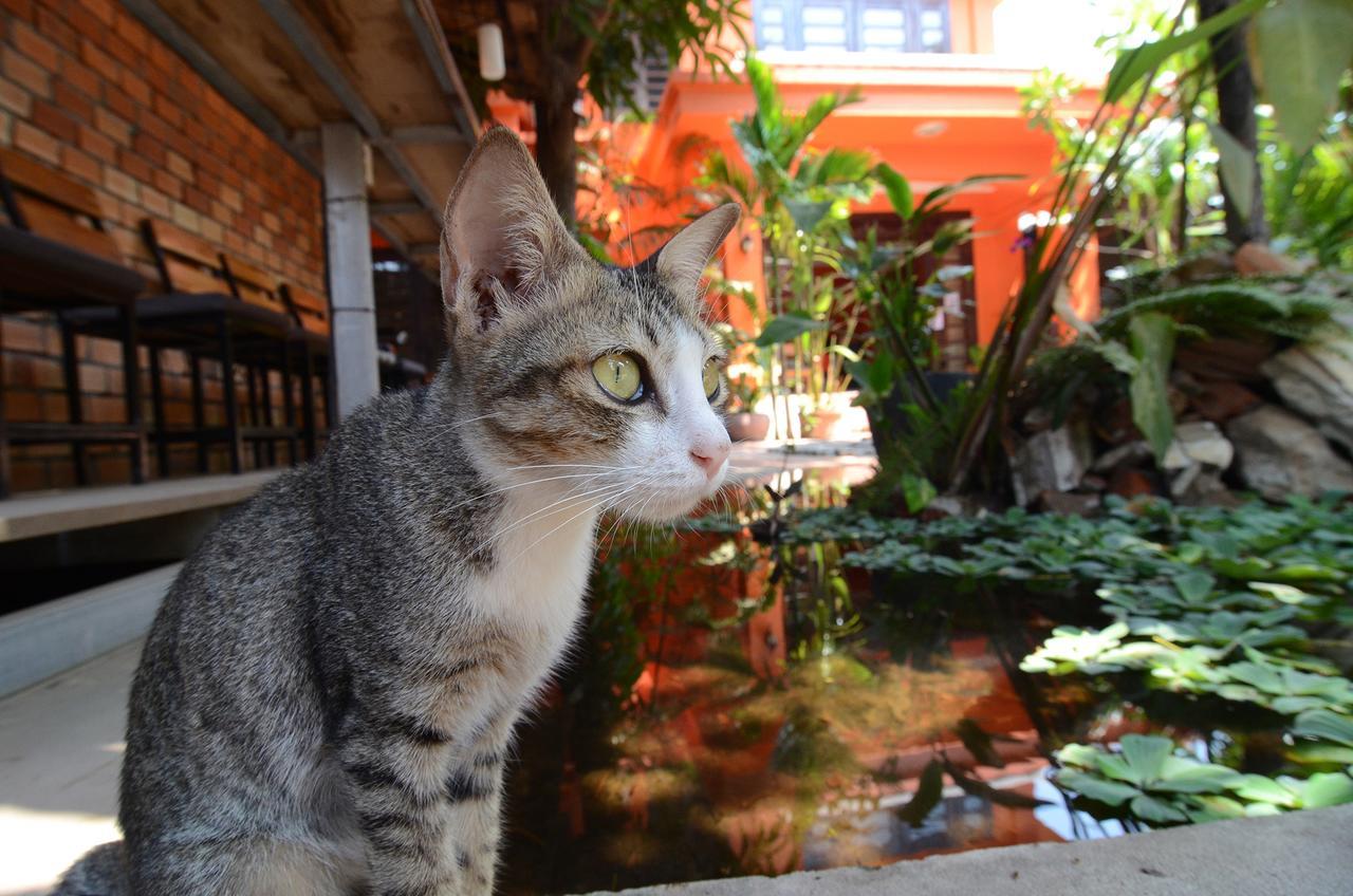 Hostel Kiyomi *