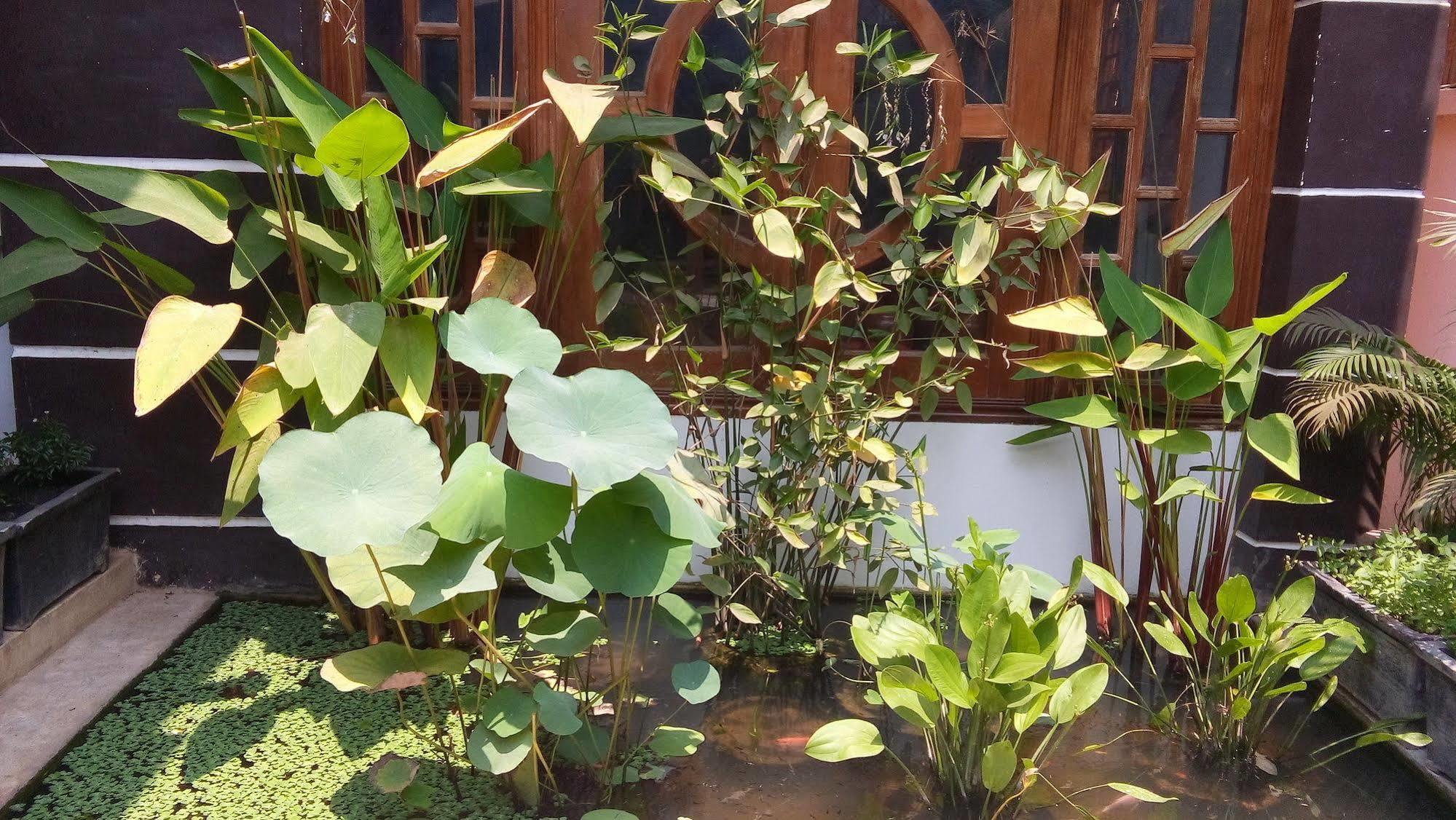 Hotel Thyda Siem Reap