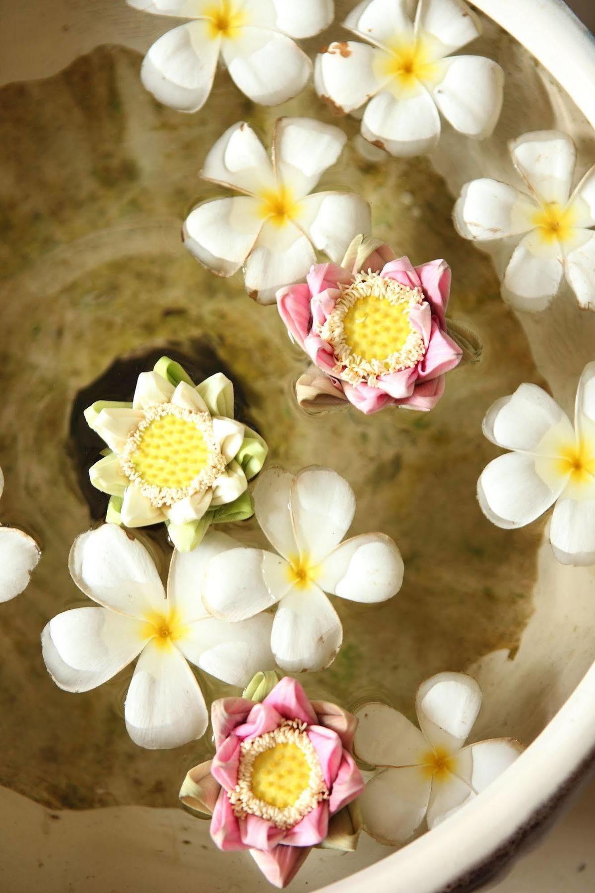 The Frangipani Ii 4*