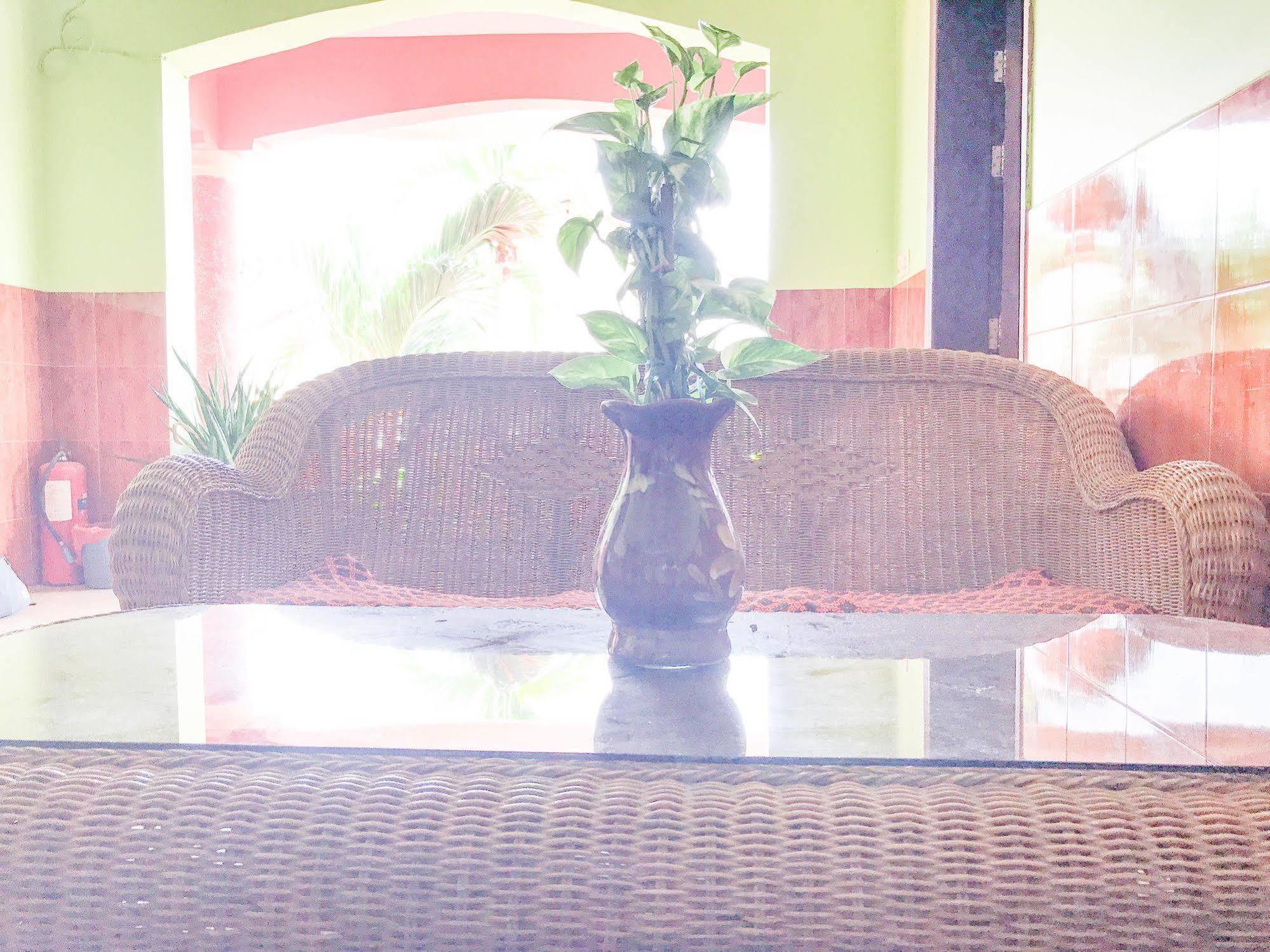 Ta Som & Tour Services Guest house
