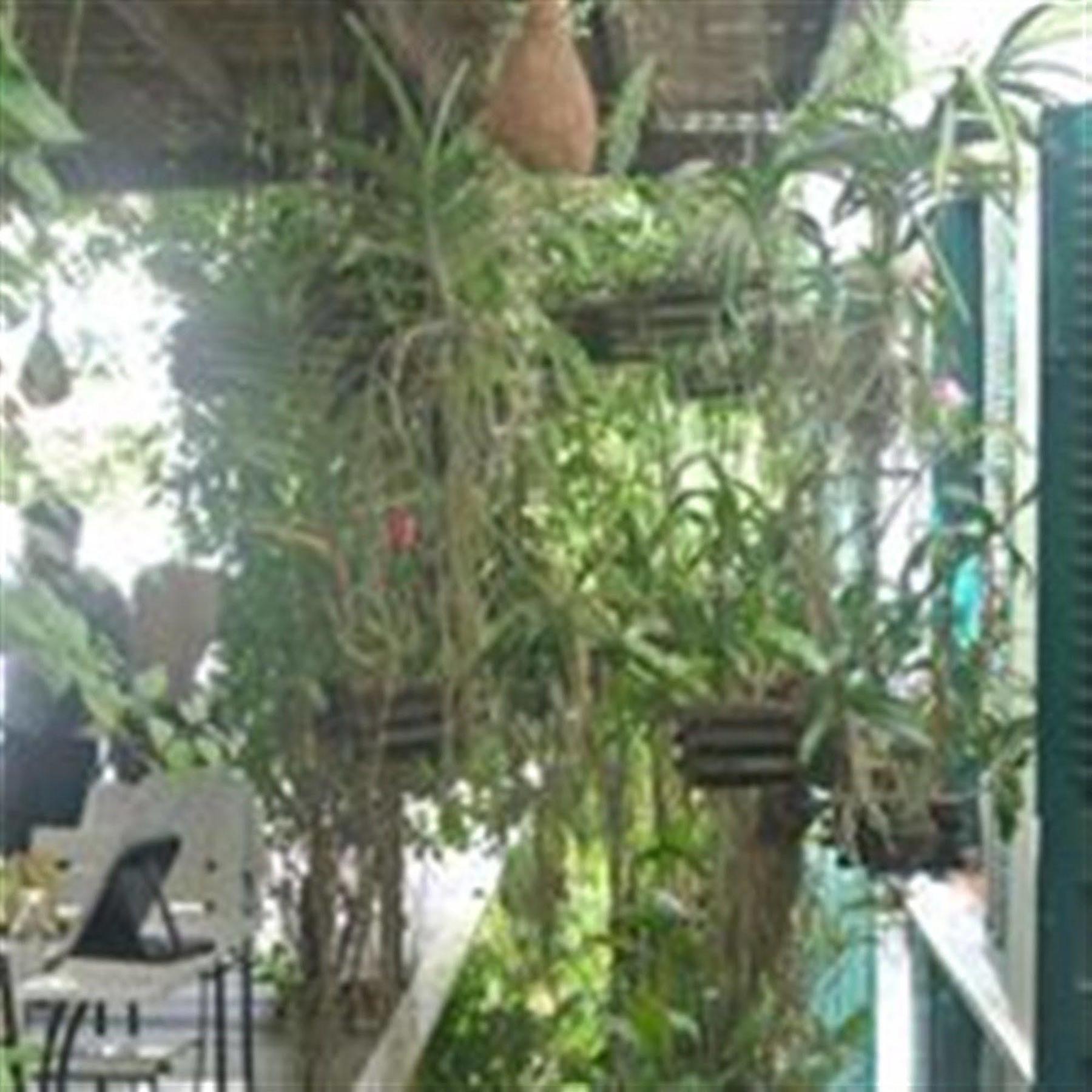 Alliance Alize Boutique Villa Siem Reap