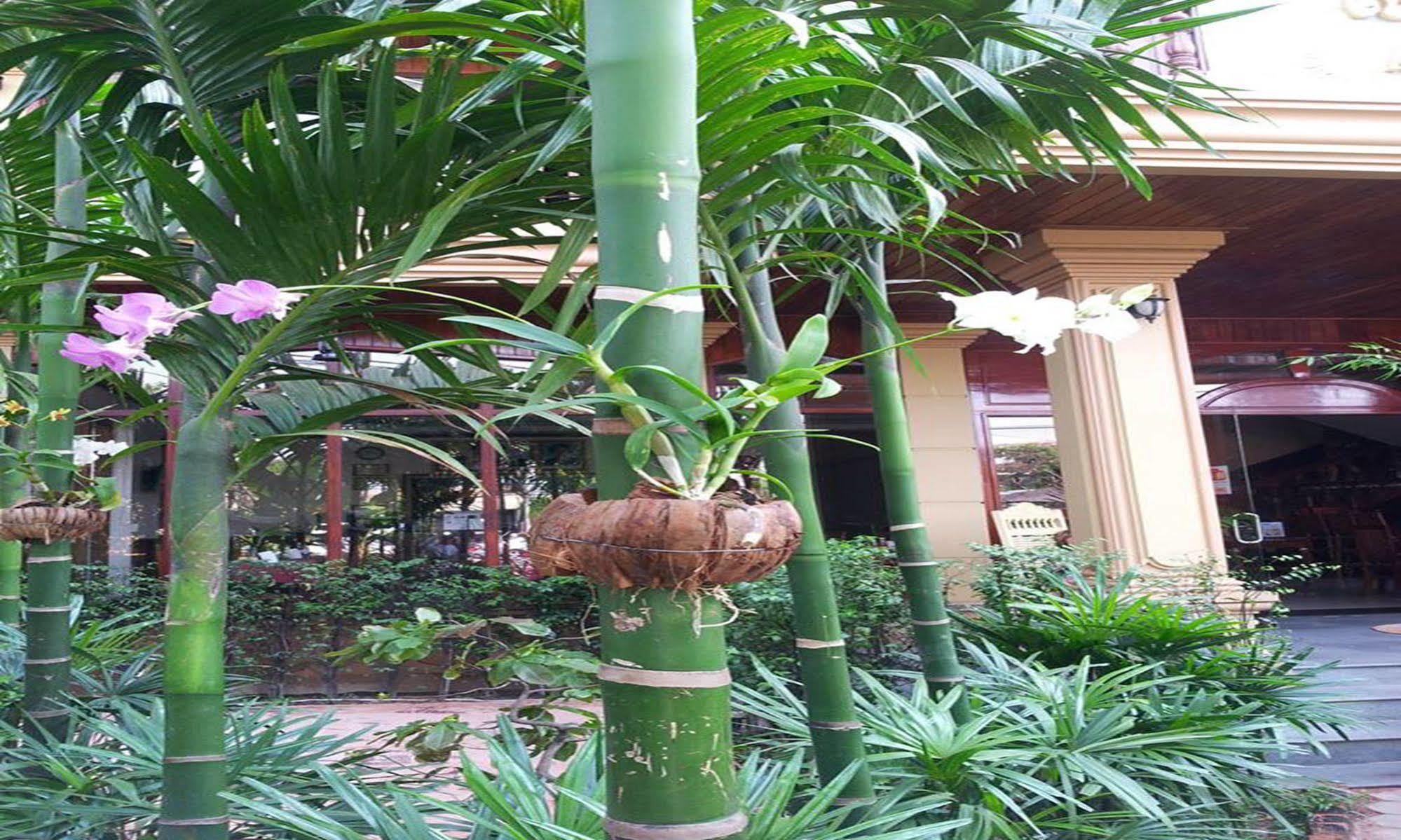 Angkor Vattanakpheap Hotel 3*