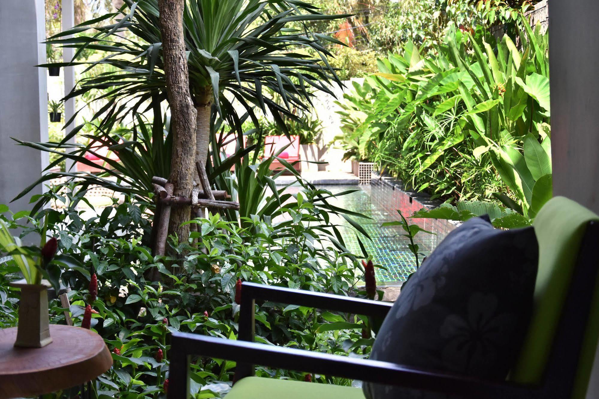 Theary's Luxury Hotel